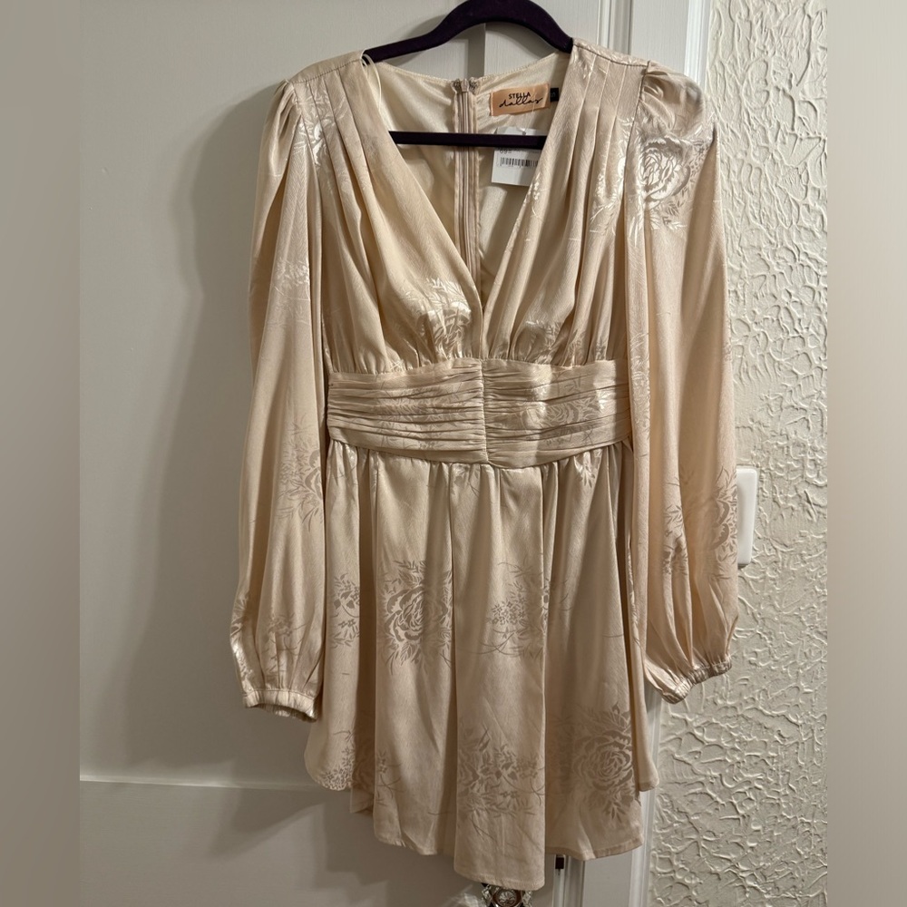 NWT long sleeve satin dress